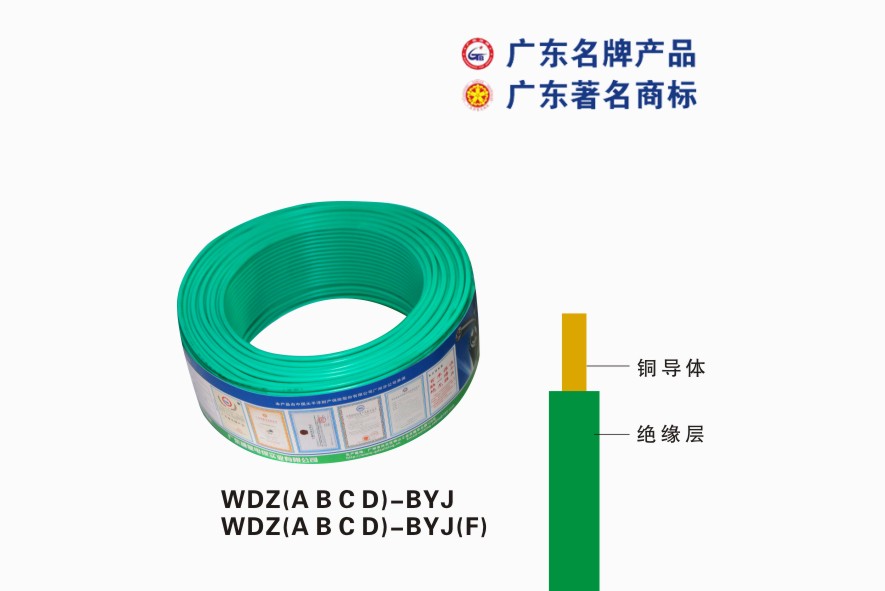 WDZ(A B C D)-BYJ
